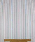 Ike Behar striped cotton oxford