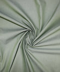 Ike Behar iridescent green oxford cloth