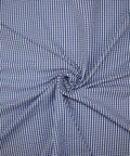 Blue and white gingham seersucker