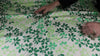 Clover print stretch cotton
