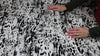 Black and white print cotton voile